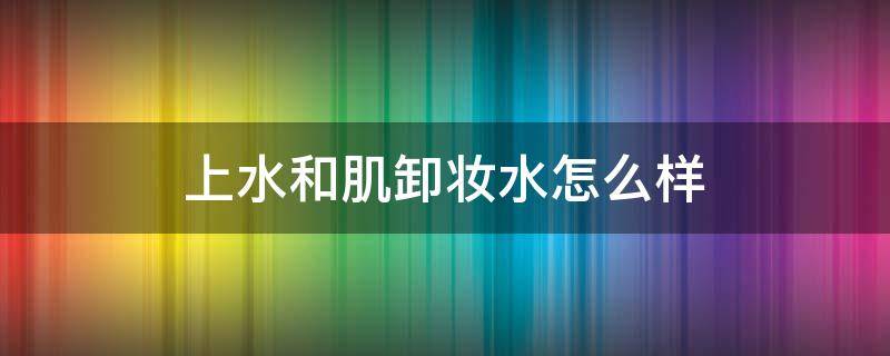 上水和肌卸妆水怎么样（上水和肌卸妆水成分）