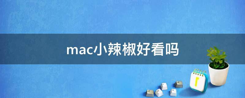 mac小辣椒好看吗（mac小辣椒值得入手吗）