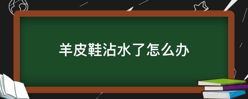 羊皮鞋沾水了怎么办（小羊皮鞋沾水了怎么办）