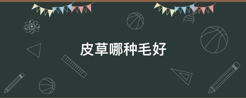皮草哪种毛好 皮草哪种毛最好