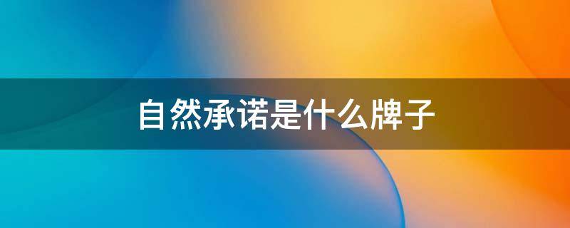 自然承诺是什么牌子（自然承诺创始人）