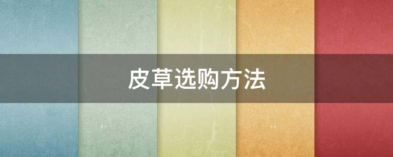 皮草选购方法 皮草怎么选购