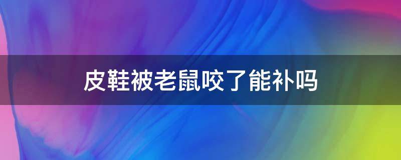 皮鞋被老鼠咬了能补吗（皮鞋让老鼠给咬了一块怎么修）