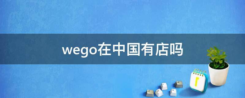 wego在中国有店吗（wego官网可发货到中国吗）