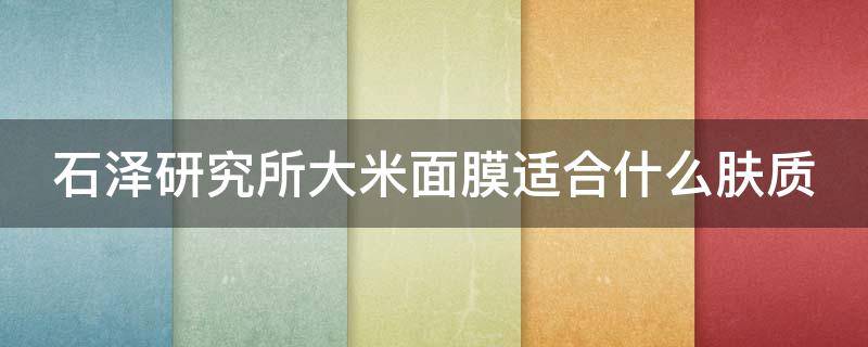 石泽研究所大米面膜适合什么肤质（日本 cosme石泽研究所大米）