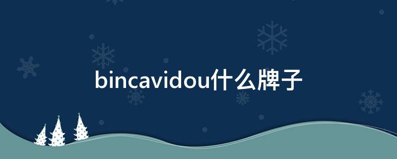 bincavidou什么牌子（bincavidou旗舰店）