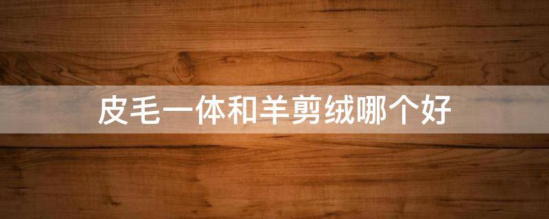 皮毛一体和羊剪绒哪个好（羊皮毛一体和羊剪绒哪个好）