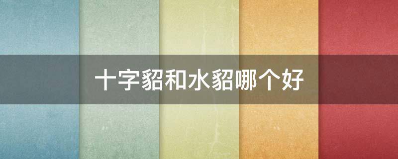 十字貂和水貂哪个好（十字貂好还是普通貂好）