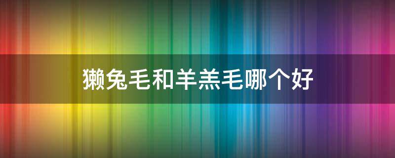 獭兔毛和羊羔毛哪个好（獭兔毛好还是羊羔毛好）