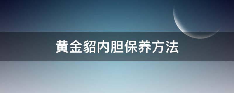 黄金貂内胆保养方法 内胆黄金貂和水貂内胆