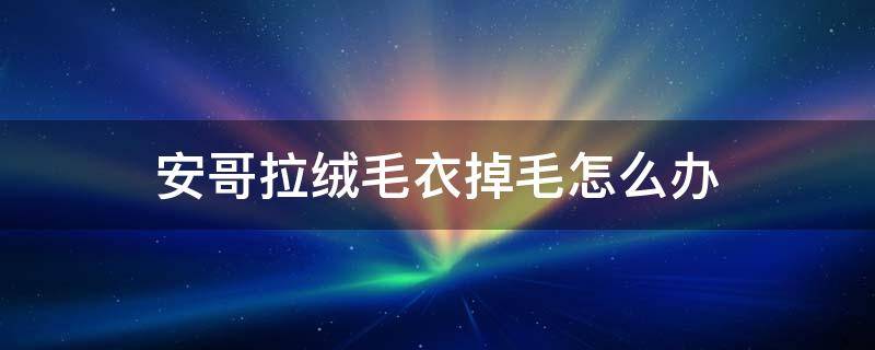 安哥拉绒毛衣掉毛怎么办（安哥拉兔绒掉毛吗）