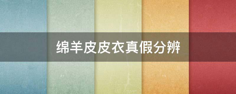 绵羊皮皮衣真假分辨（绵羊皮皮衣真假辨别）