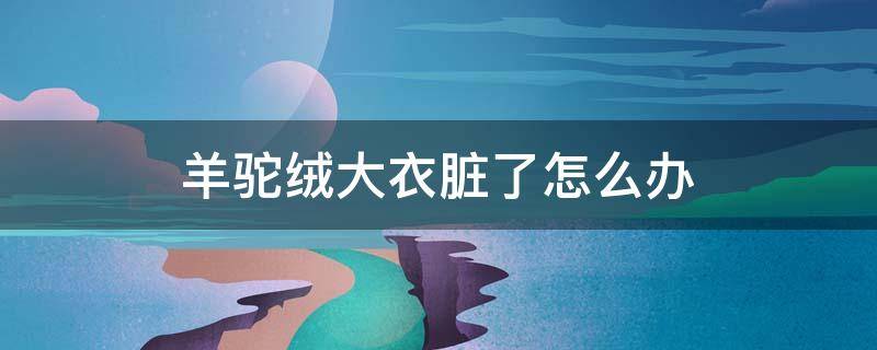 羊驼绒大衣脏了怎么办（羊绒大衣弄脏了）