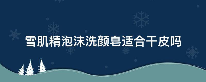 雪肌精泡沫洗颜皂适合干皮吗（雪肌精洗脸皂怎么样）