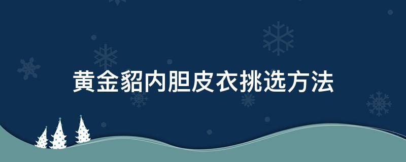 黄金貂内胆皮衣挑选方法（皮衣内胆黑貂好还是黄金貂好）