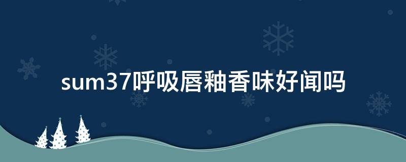 sum37呼吸唇釉香味好闻吗