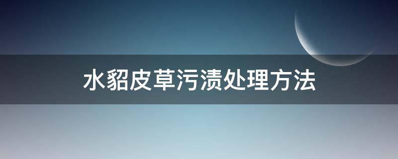 水貂皮草污渍处理方法 貂皮沾水了怎么处理
