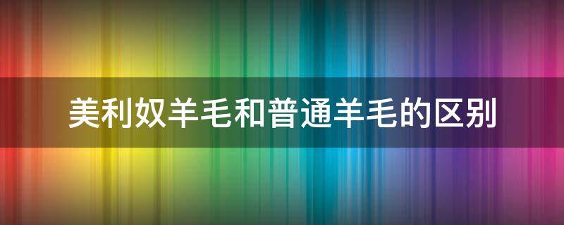 美利奴羊毛和普通羊毛的区别 美利奴羊毛和绵羊毛的区别