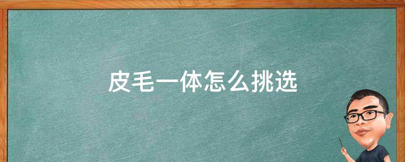 皮毛一体怎么挑选（皮毛一体什么皮毛最好）