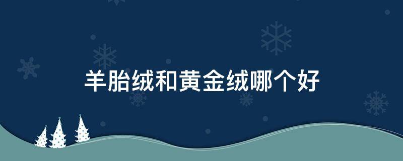 羊胎绒和黄金绒哪个好（羊胎绒和黄金绒区别）