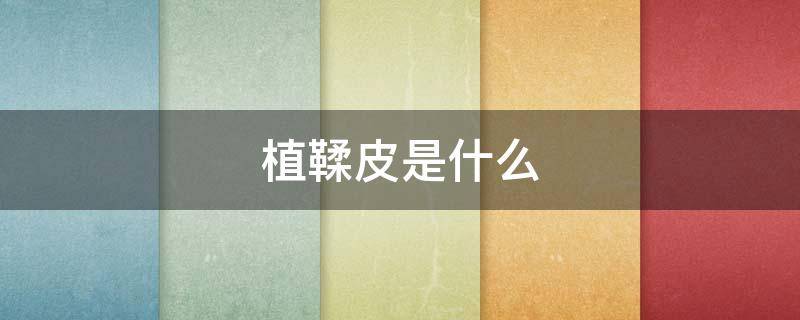 植鞣皮是什么 植鞣皮是什么皮