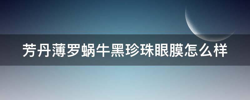 芳丹薄罗蜗牛黑珍珠眼膜怎么样 芳丹薄罗红参蜗牛套装怎么样