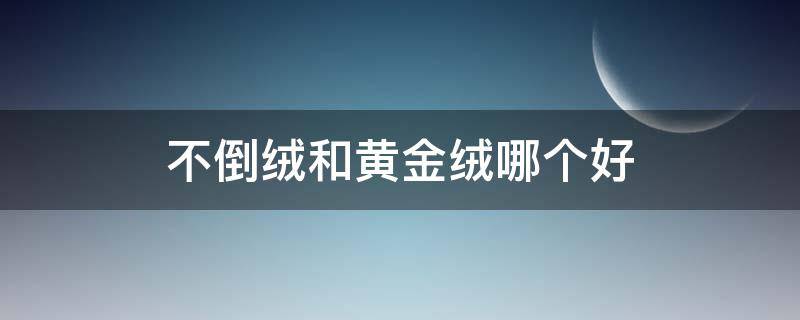 不倒绒和黄金绒哪个好 黄金不倒绒是什么