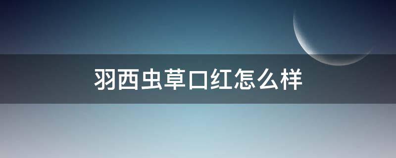 羽西虫草口红怎么样 羽西虫草粉底