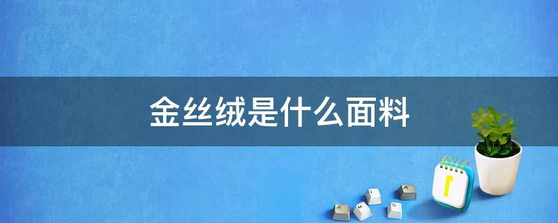 金丝绒是什么面料（金丝绒面料的优缺点）