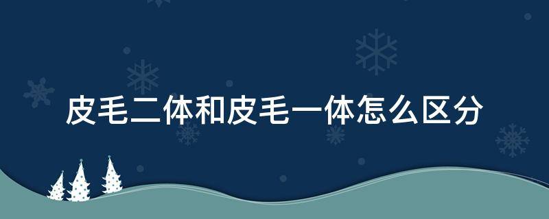 皮毛二体和皮毛一体怎么区分（如何区分皮毛一体和皮毛二体）
