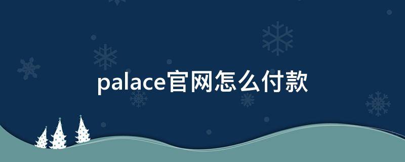palace官网怎么付款 palace store
