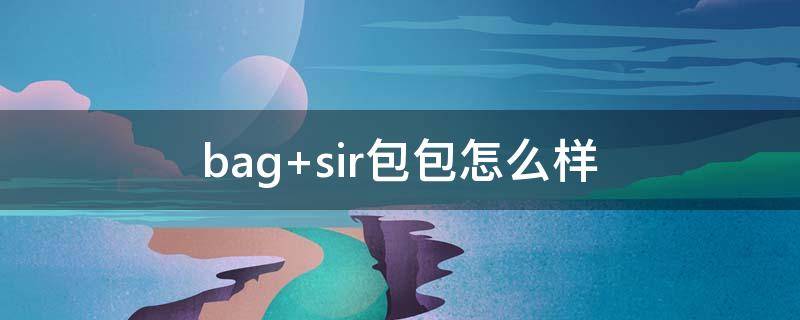 bag sir包包怎么样