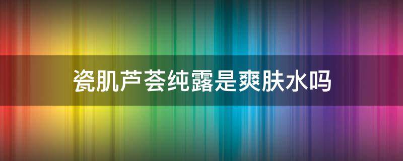 瓷肌芦荟纯露是爽肤水吗 瓷妆芦荟纯露有什么效果
