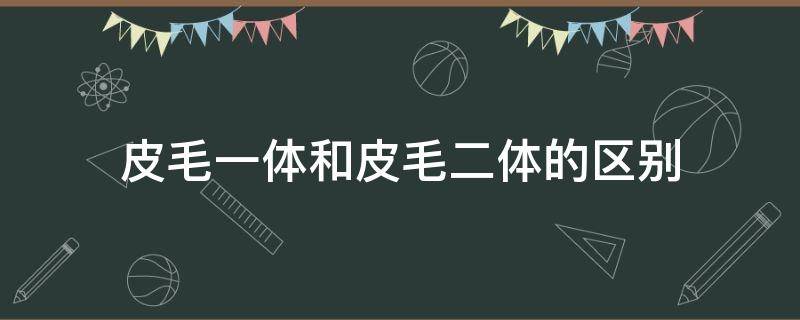 皮毛一体和皮毛二体的区别 皮毛一体和皮毛二体有什么区别