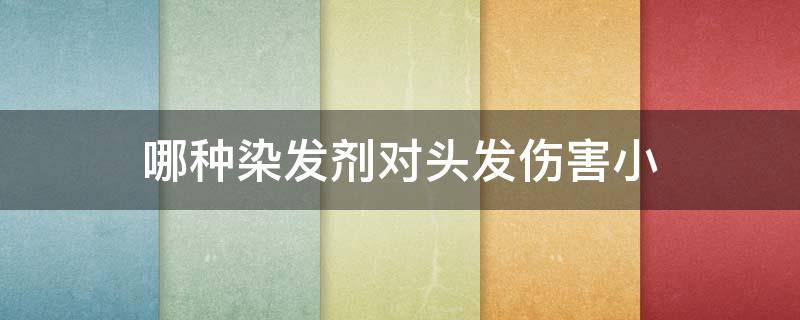 哪种染发剂对头发伤害小（市面上哪种染发剂对身体伤害小一些）