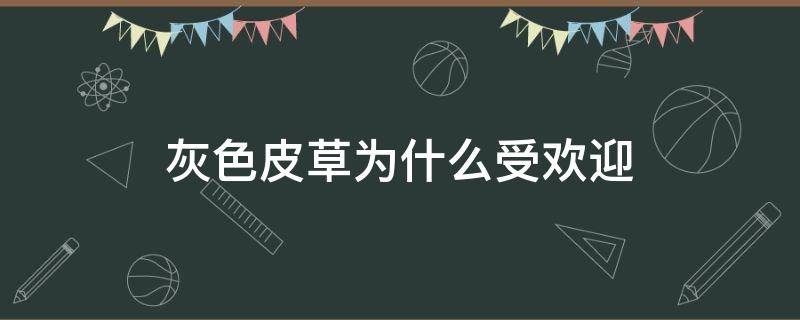 灰色皮草为什么受欢迎（灰色的皮草）