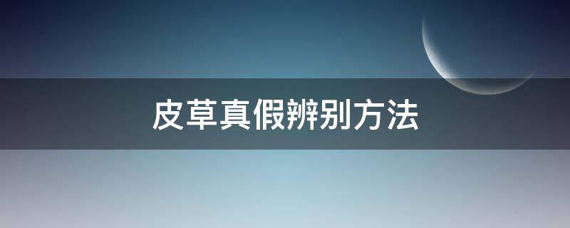 皮草真假辨别方法（怎么皮草真假辨别）