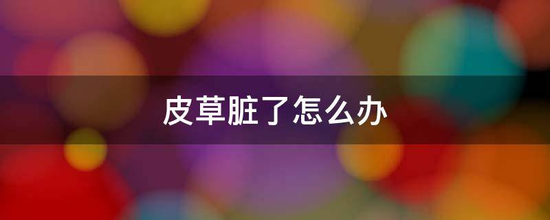 皮草脏了怎么办 皮草里子脏了怎么办