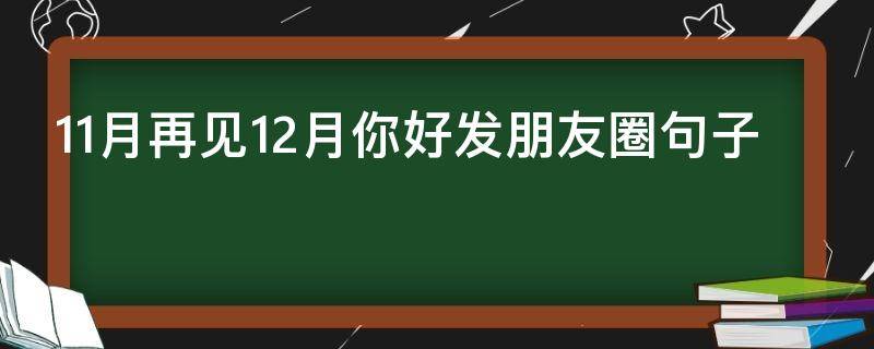 11月再见12月你好发朋友圈句子（11 月再见12 月你好发朋友圈的唯美句子）