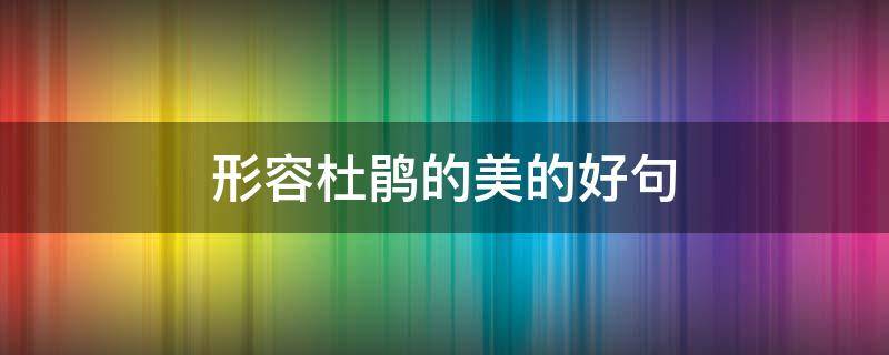 形容杜鹃的美的好句（赞美杜鹃花的好词好句）