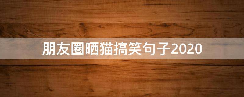 朋友圈晒猫搞笑句子2020 朋友圈晒猫搞笑句子2019
