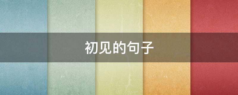 初见的句子 形容初见的句子