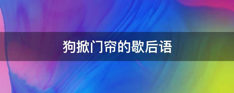 狗掀门帘的歇后语（狗掀门帘的歇后语下一句是什么）