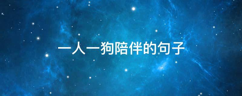 一人一狗陪伴的句子（一人一狗的美好句子）