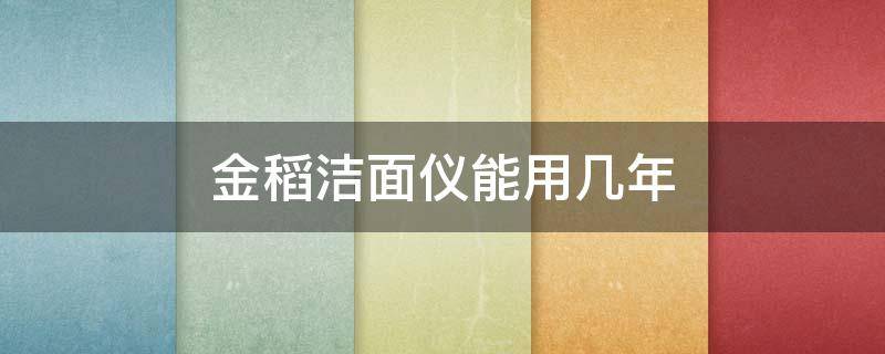 金稻洁面仪能用几年（金稻洗脸仪效果怎么样）