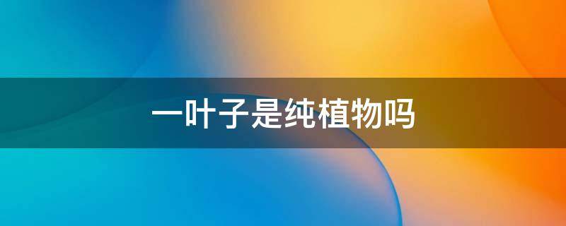 一叶子是纯植物吗（一根一叶是什么植物）