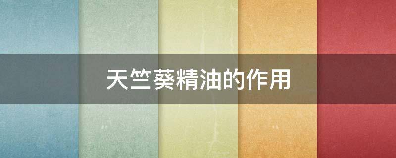 天竺葵精油的作用 天竺葵精油的作用和功效百科