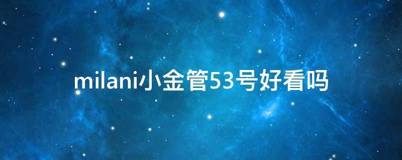 milani小金管53号好看吗（美国milani小金管口红）