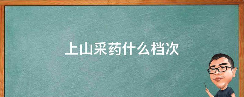 上山采药什么档次（上山采药最好的工具是什么）