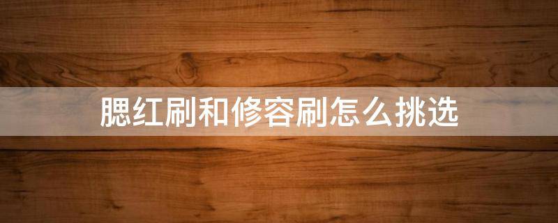 腮红刷和修容刷怎么挑选（腮红刷和修容刷区别）